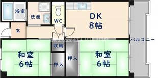 メゾンドール水野の物件間取画像